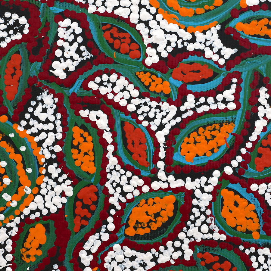 Aboriginal Artwork by Juliette Nampijinpa Brown, Ngapa Jukurrpa (Water Dreaming) - Mikanji, 30x30cm