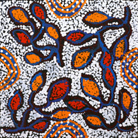 Aboriginal Artwork by Juliette Nampijinpa Brown, Ngapa Jukurrpa (Water Dreaming) - Mikanji, 30x30cm