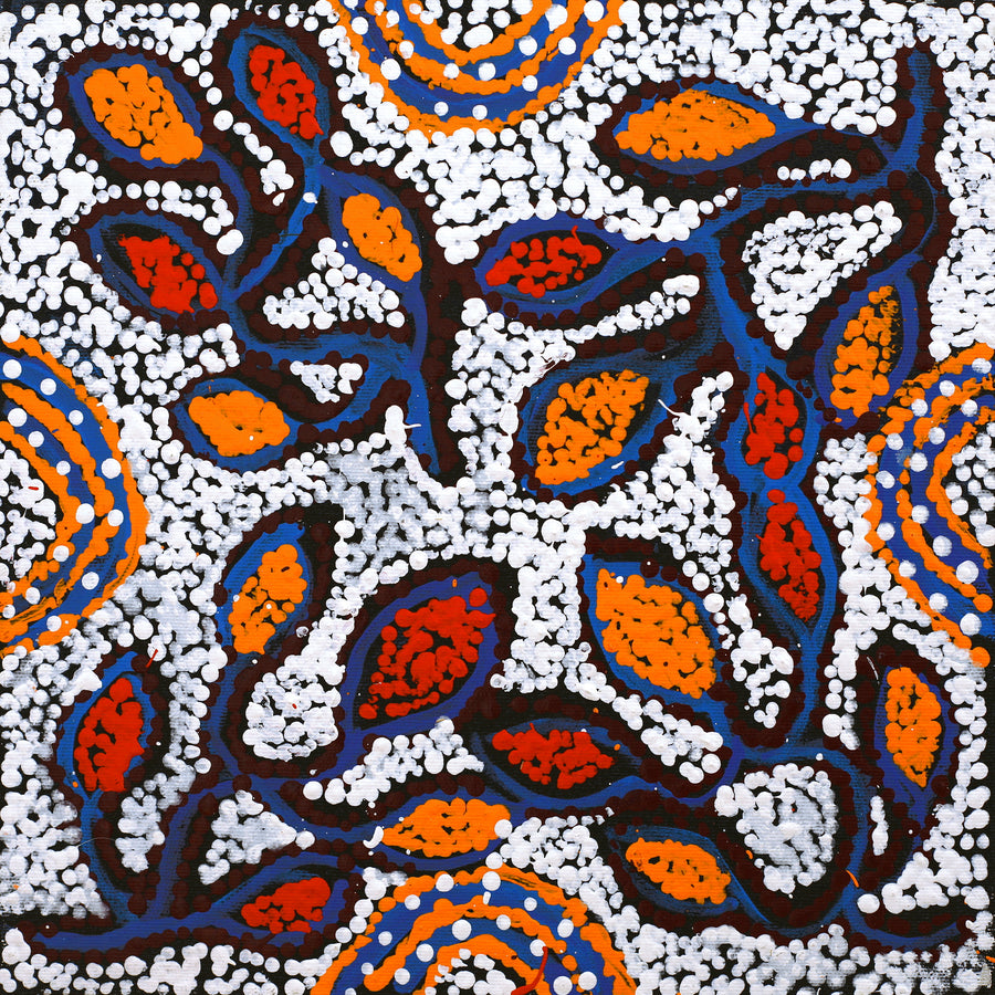 Aboriginal Artwork by Juliette Nampijinpa Brown, Ngapa Jukurrpa (Water Dreaming) - Mikanji, 30x30cm