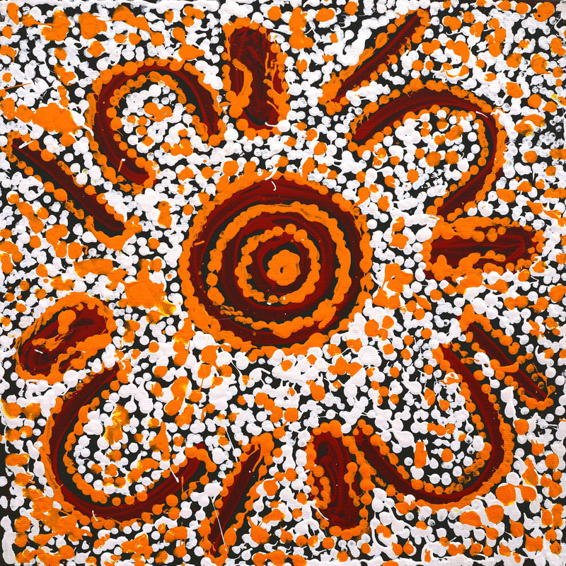 Aboriginal Artwork by Juliette Nampijinpa Brown, Ngapa Jukurrpa (Water Dreaming) - Mikanji, 30x30cm