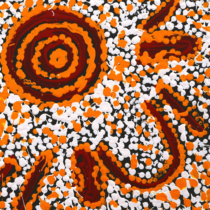 Aboriginal Artwork by Juliette Nampijinpa Brown, Ngapa Jukurrpa (Water Dreaming) - Mikanji, 30x30cm