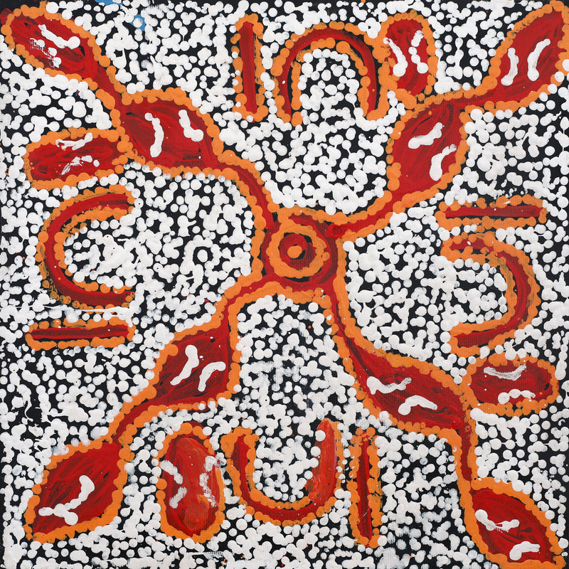 Aboriginal Artwork by Juliette Nampijinpa Brown, Ngapa Jukurrpa (Water Dreaming) - Mikanji, 30x30cm