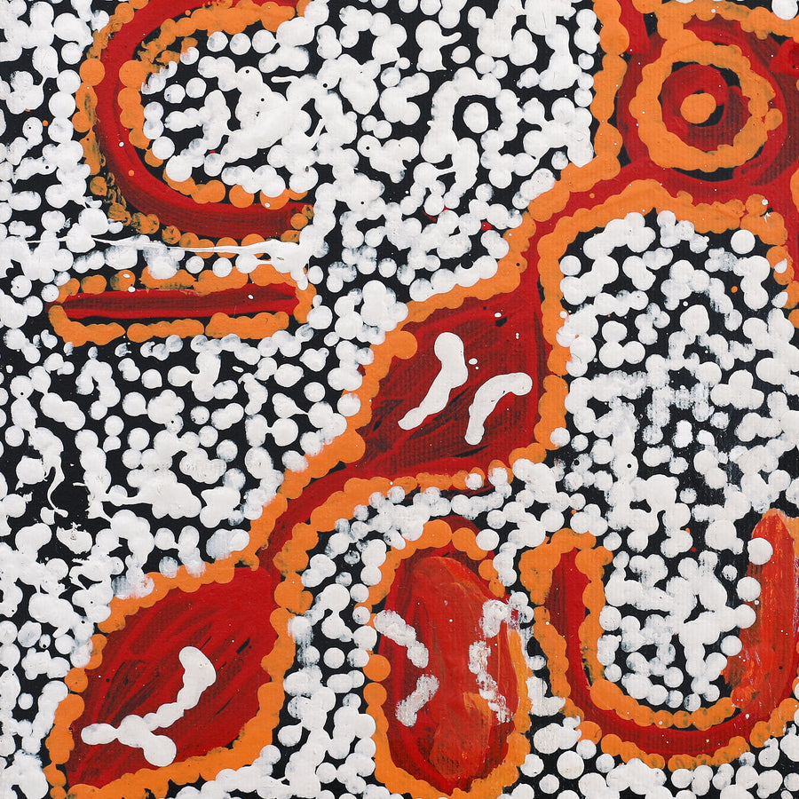 Aboriginal Artwork by Juliette Nampijinpa Brown, Ngapa Jukurrpa (Water Dreaming) - Mikanji, 30x30cm