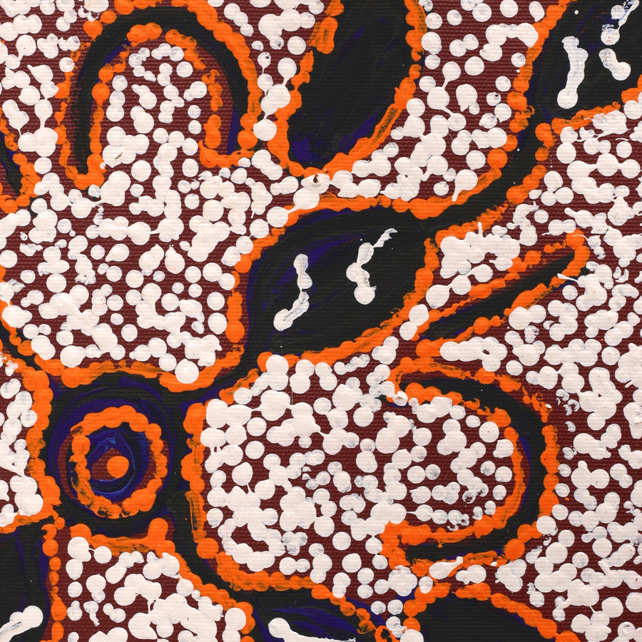 Aboriginal Artwork by Juliette Nampijinpa Brown, Ngapa Jukurrpa (Water Dreaming) - Mikanji, 30x30cm