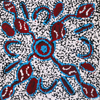 Aboriginal Artwork by Juliette Nampijinpa Brown, Ngapa Jukurrpa (Water Dreaming) - Mikanji, 30x30cm