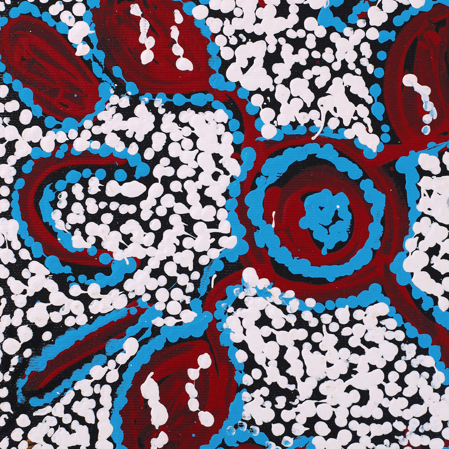 Aboriginal Artwork by Juliette Nampijinpa Brown, Ngapa Jukurrpa (Water Dreaming) - Mikanji, 30x30cm