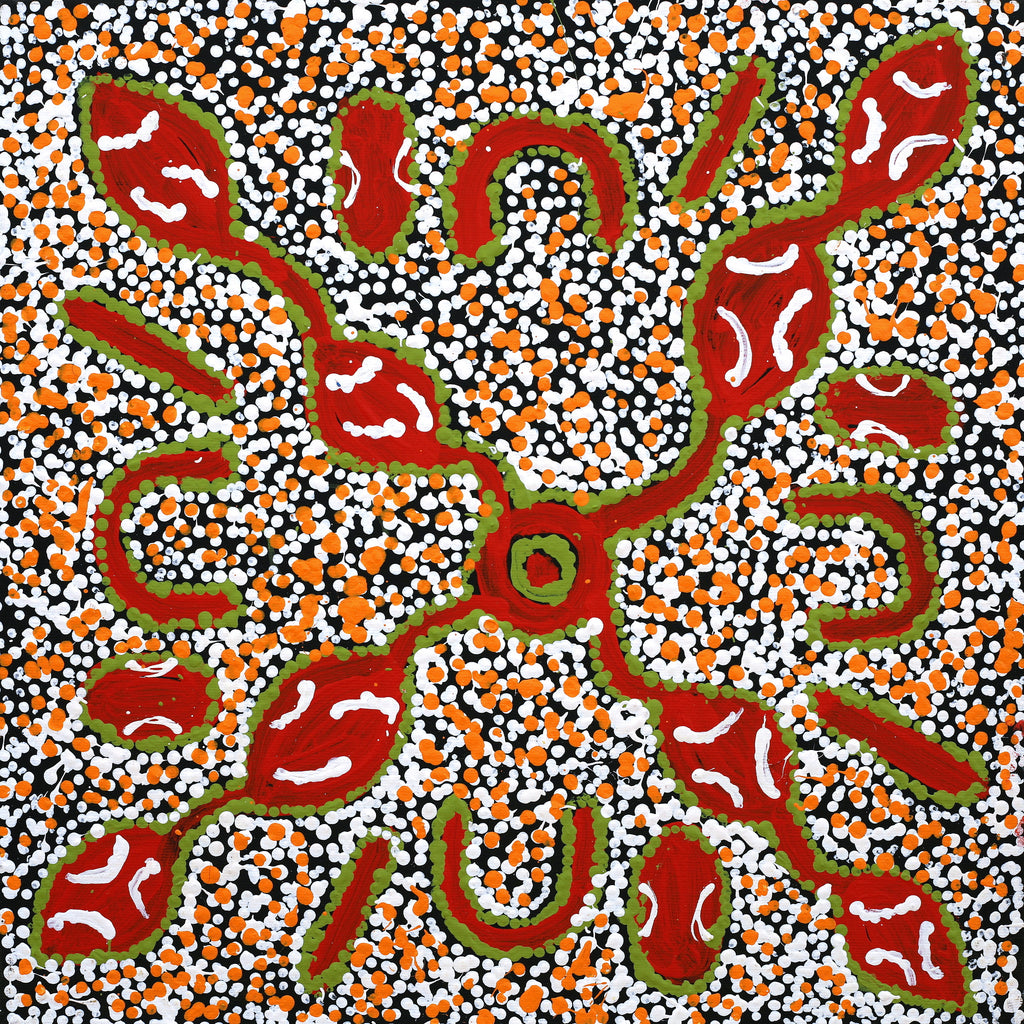 Aboriginal Artwork by Juliette Nampijinpa Brown, Ngapa Jukurrpa (Water Dreaming) - Mikanji, 40x40cm