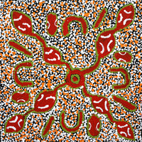 Aboriginal Artwork by Juliette Nampijinpa Brown, Ngapa Jukurrpa (Water Dreaming) - Mikanji, 40x40cm