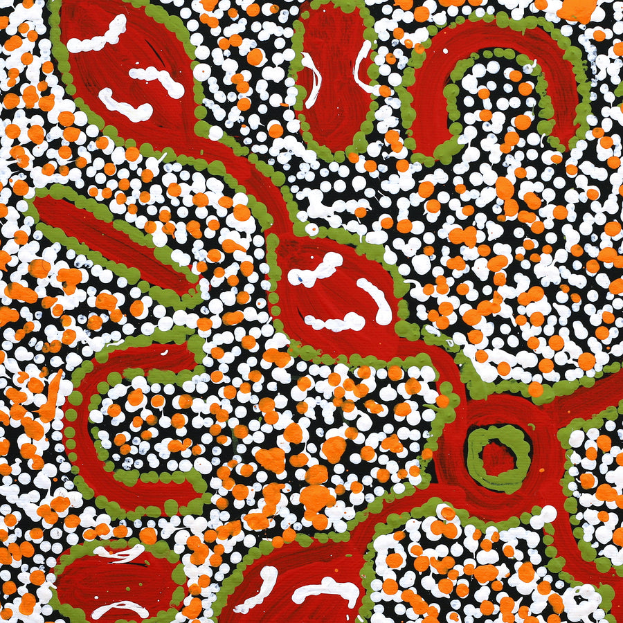 Aboriginal Artwork by Juliette Nampijinpa Brown, Ngapa Jukurrpa (Water Dreaming) - Mikanji, 40x40cm