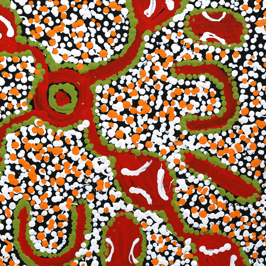Aboriginal Artwork by Juliette Nampijinpa Brown, Ngapa Jukurrpa (Water Dreaming) - Mikanji, 40x40cm