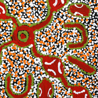 Aboriginal Art by Juliette Nampijinpa Brown, Ngapa Jukurrpa (Water Dreaming) - Mikanji, 40x40cm - ART ARK®