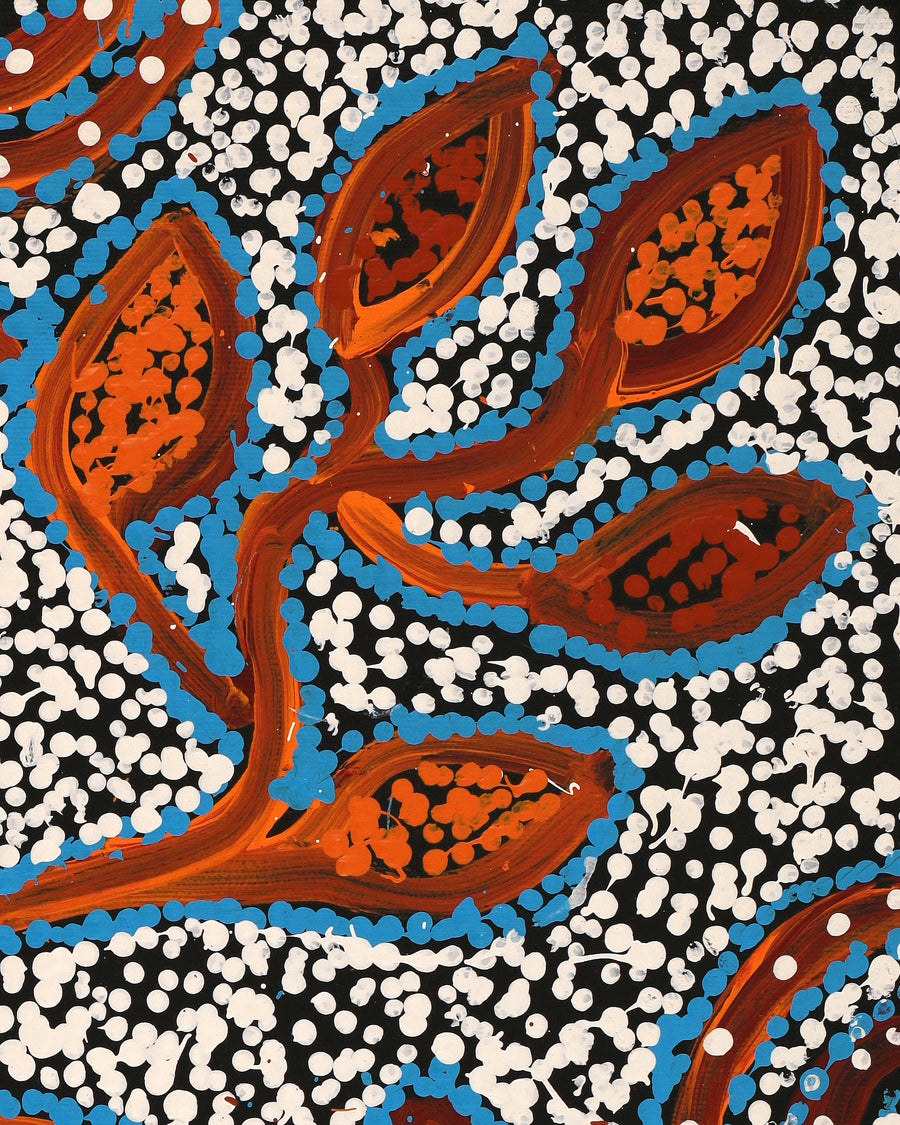 Aboriginal Artwork by Juliette Nampijinpa Brown, Ngapa Jukurrpa (Water Dreaming) - Mikanji, 50x40cm