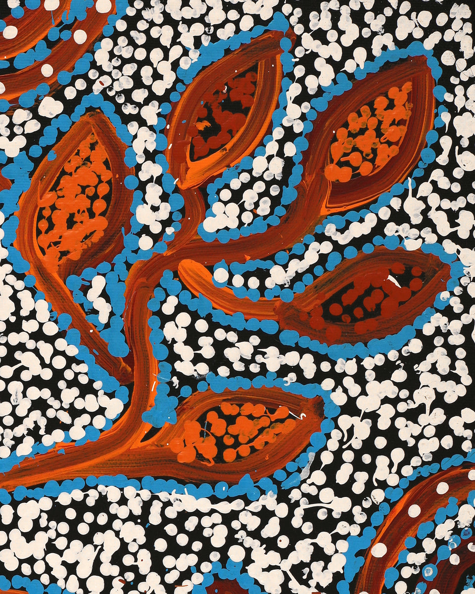 Aboriginal Artwork by Juliette Nampijinpa Brown, Ngapa Jukurrpa (Water Dreaming) - Mikanji, 50x40cm