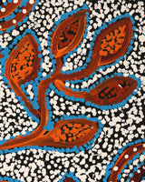 Aboriginal Artwork by Juliette Nampijinpa Brown, Ngapa Jukurrpa (Water Dreaming) - Mikanji, 50x40cm