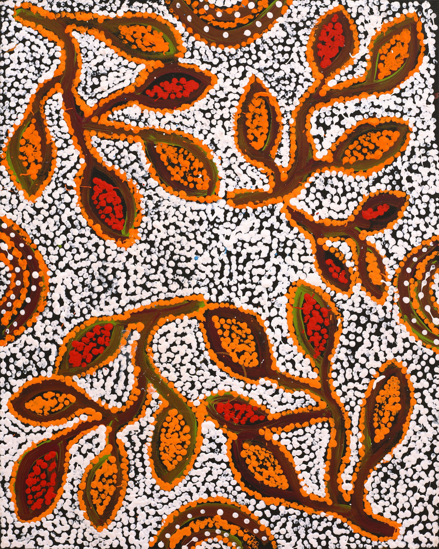 Aboriginal Artwork by Juliette Nampijinpa Brown, Ngapa Jukurrpa (Water Dreaming) - Mikanji, 50x40cm