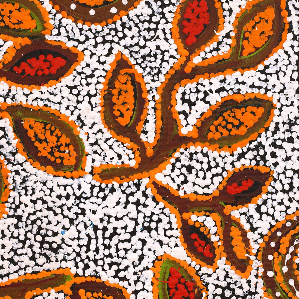 Aboriginal Artwork by Juliette Nampijinpa Brown, Ngapa Jukurrpa (Water Dreaming) - Mikanji, 50x40cm