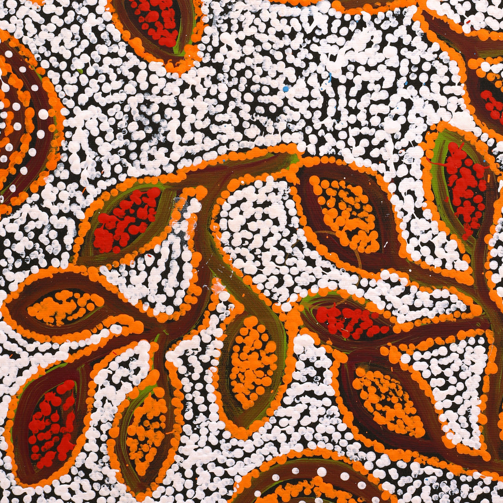Aboriginal Artwork by Juliette Nampijinpa Brown, Ngapa Jukurrpa (Water Dreaming) - Mikanji, 50x40cm