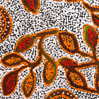 Aboriginal Artwork by Juliette Nampijinpa Brown, Ngapa Jukurrpa (Water Dreaming) - Mikanji, 50x40cm