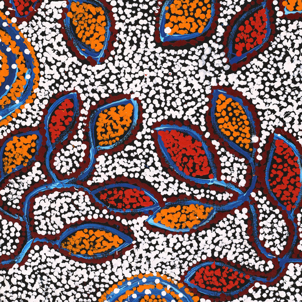 Aboriginal Artwork by Juliette Nampijinpa Brown, Ngapa Jukurrpa (Water Dreaming) - Mikanji, 61x46cm
