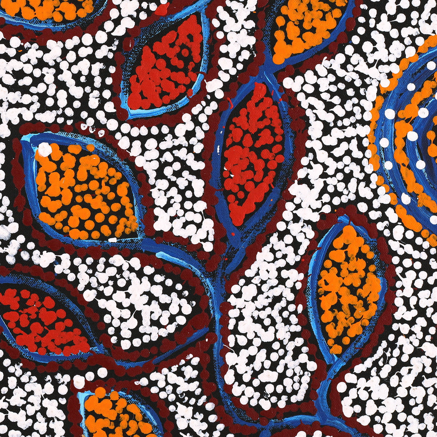 Aboriginal Artwork by Juliette Nampijinpa Brown, Ngapa Jukurrpa (Water Dreaming) - Mikanji, 61x46cm