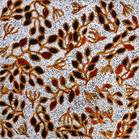 Aboriginal Artwork by Juliette Nampijinpa Brown, Ngapa Jukurrpa (Water Dreaming) - Mikanji, 61x61cm