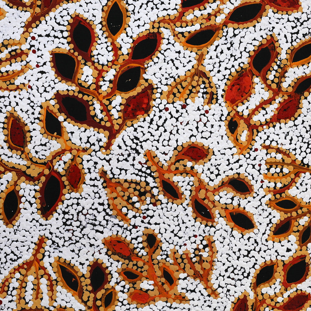 Aboriginal Artwork by Juliette Nampijinpa Brown, Ngapa Jukurrpa (Water Dreaming) - Mikanji, 61x61cm