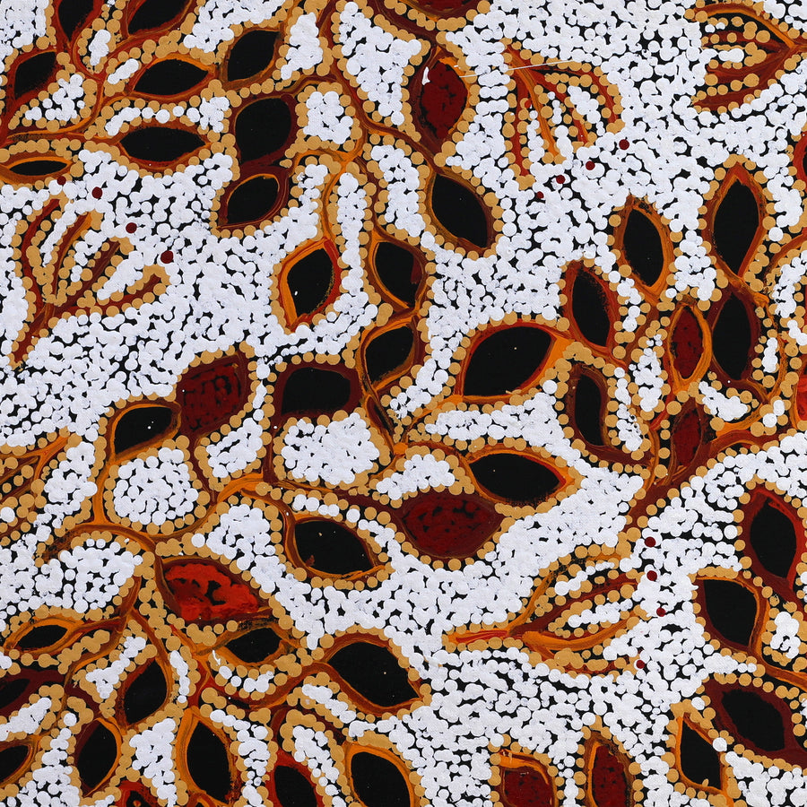 Aboriginal Artwork by Juliette Nampijinpa Brown, Ngapa Jukurrpa (Water Dreaming) - Mikanji, 61x61cm
