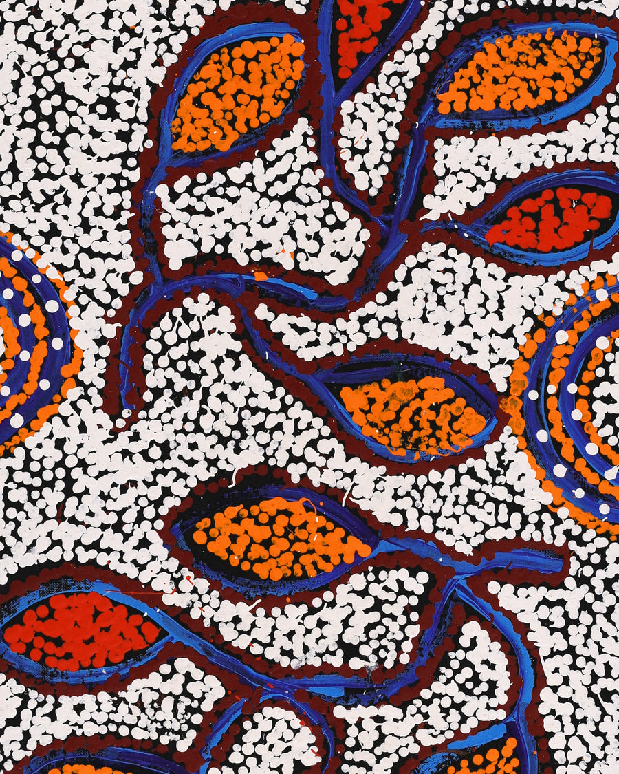 Aboriginal Artwork by Juliette Nampijinpa Brown, Ngapa Jukurrpa (Water Dreaming) - Mikanji, 91x30cm