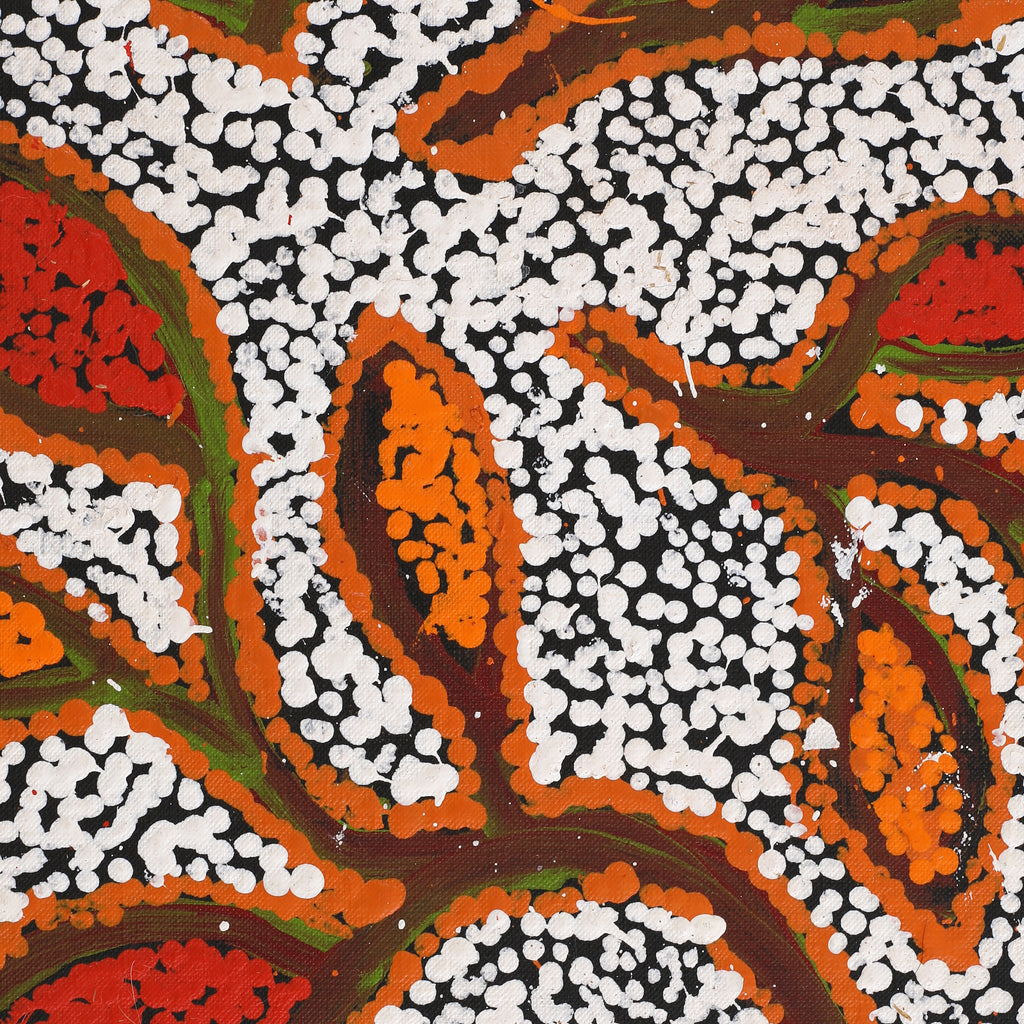 Aboriginal Artwork by Juliette Nampijinpa Brown, Ngapa Jukurrpa (Water Dreaming) - Mikanji, 91x46cm