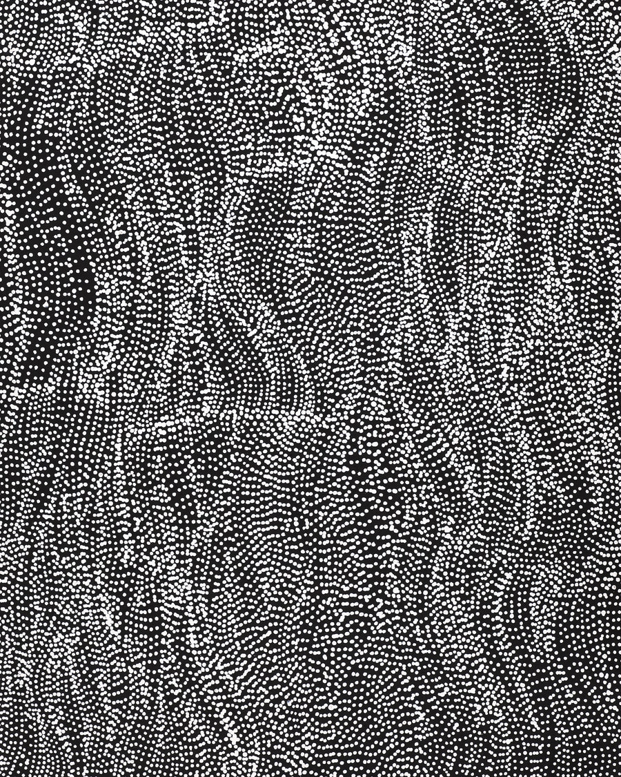 Aboriginal Artwork by Justinna Napaljarri Sims, Yanjirlpirri or Napaljarri-Warnu Jukurrpa (Star or Seven Sisters Dreaming), 107x46cm