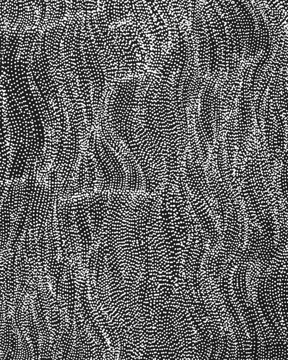 Aboriginal Artwork by Justinna Napaljarri Sims, Yanjirlpirri or Napaljarri-Warnu Jukurrpa (Star or Seven Sisters Dreaming), 107x46cm