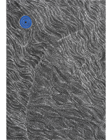 Aboriginal Artwork by Justinna Napaljarri Sims, Yanjirlpirri or Napaljarri-Warnu Jukurrpa (Star or Seven Sisters Dreaming), 107x76cm