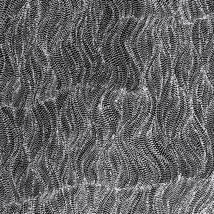 Aboriginal Artwork by Justinna Napaljarri Sims, Yanjirlpirri or Napaljarri-Warnu Jukurrpa (Star or Seven Sisters Dreaming), 122x61cm