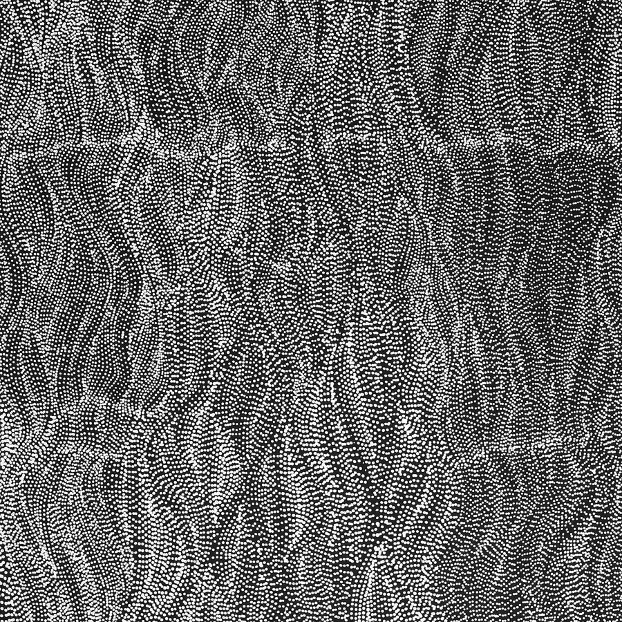 Aboriginal Artwork by Justinna Napaljarri Sims, Yanjirlpirri or Napaljarri-Warnu Jukurrpa (Star or Seven Sisters Dreaming), 183x76cm