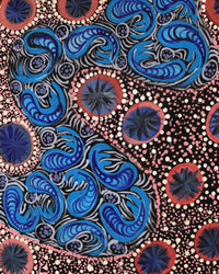 Aboriginal Artwork by Kanytjupai Baker, Walka, 120x70cm
