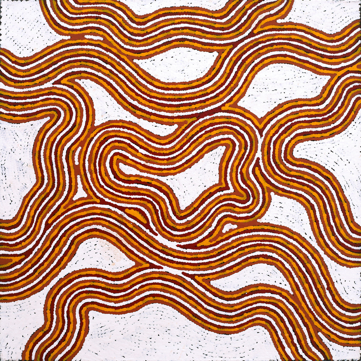 Aboriginal Art by Kara Napangardi Ross, Pamapardu Jukurrpa (Flying Ant Dreaming) - Warntungurru, 40x40cm - ART ARK®