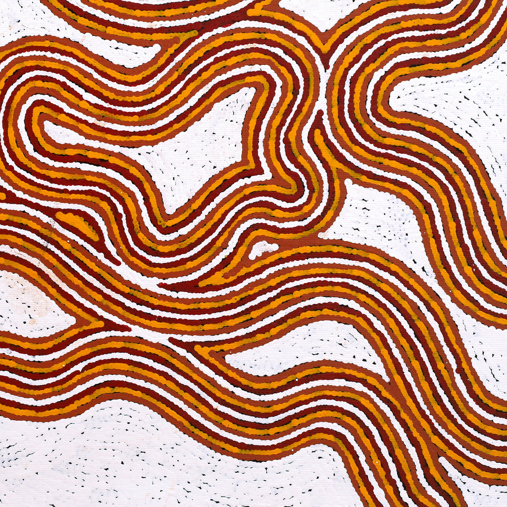 Aboriginal Artwork by Kara Napangardi Ross, Pamapardu Jukurrpa (Flying Ant Dreaming) - Warntungurru, 40x40cm