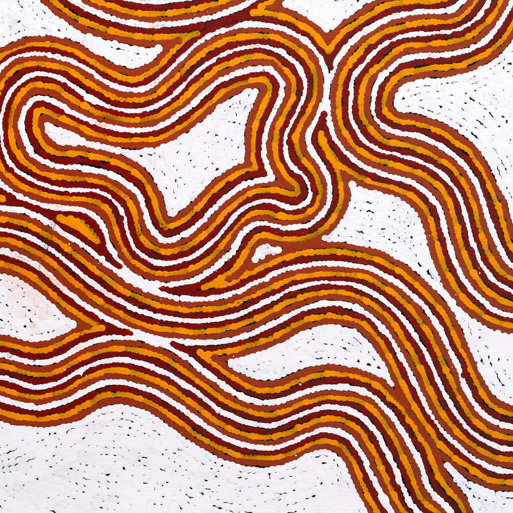 Aboriginal Art by Kara Napangardi Ross, Pamapardu Jukurrpa (Flying Ant Dreaming) - Warntungurru, 40x40cm - ART ARK®