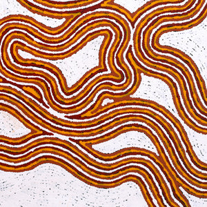 Aboriginal Artwork by Kara Napangardi Ross, Pamapardu Jukurrpa (Flying Ant Dreaming) - Warntungurru, 40x40cm - ART ARK®