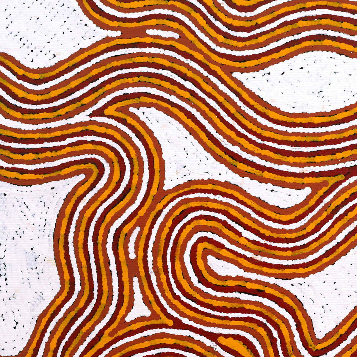 Aboriginal Art by Kara Napangardi Ross, Pamapardu Jukurrpa (Flying Ant Dreaming) - Warntungurru, 40x40cm - ART ARK®