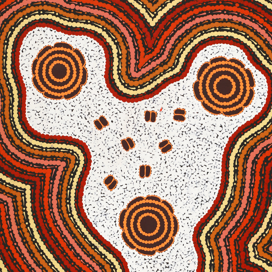 Aboriginal Artwork by Kara Napangardi Ross, Pamapardu Jukurrpa (Flying Ant Dreaming) - Warntungurru, 76x46cm