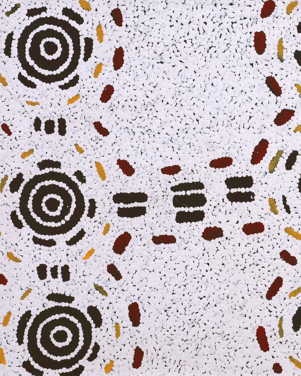 Aboriginal Artwork by Kara Napangardi Ross, Pamapardu Jukurrpa (Flying Ant Dreaming) - Warntungurru, 91x46cm