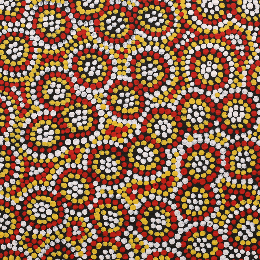 Aboriginal Artwork by Karen Napanangka McCormack, Watiya-warnu Jukurrpa (Seed Dreaming), 30x30cm
