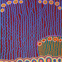 Aboriginal Artwork by Kasey-Anne Nampijinpa Gallagher, Water Dreaming - Pirlinyarnu, 152x76cm