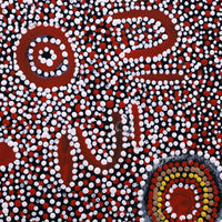 Aboriginal Artwork by Katrina Nampijinpa Brown, Watiya-warnu Jukurrpa (Seed Dreaming), 30x30cm