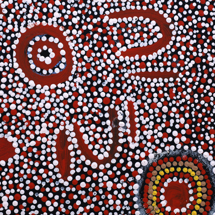 Aboriginal Artwork by Katrina Nampijinpa Brown, Watiya-warnu Jukurrpa (Seed Dreaming), 30x30cm