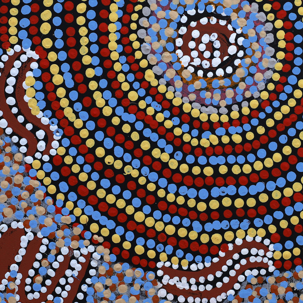 Aboriginal Art by Katrina Nampijinpa Brown, Watiya-warnu Jukurrpa (Seed Dreaming), 30x30cm - ART ARK®