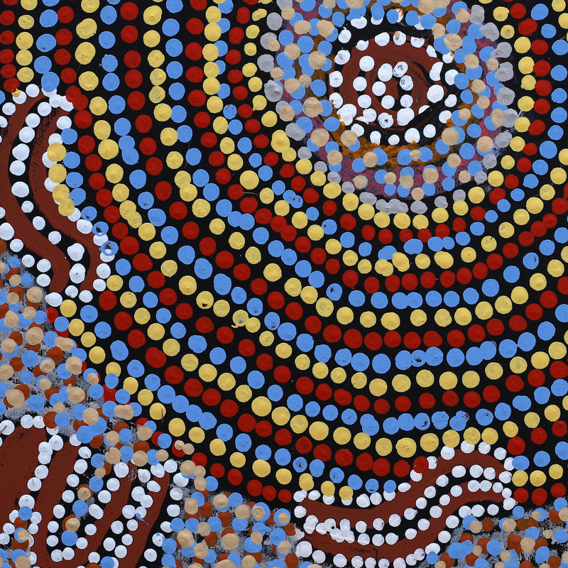 Aboriginal Artwork by Katrina Nampijinpa Brown, Watiya-warnu Jukurrpa (Seed Dreaming), 30x30cm