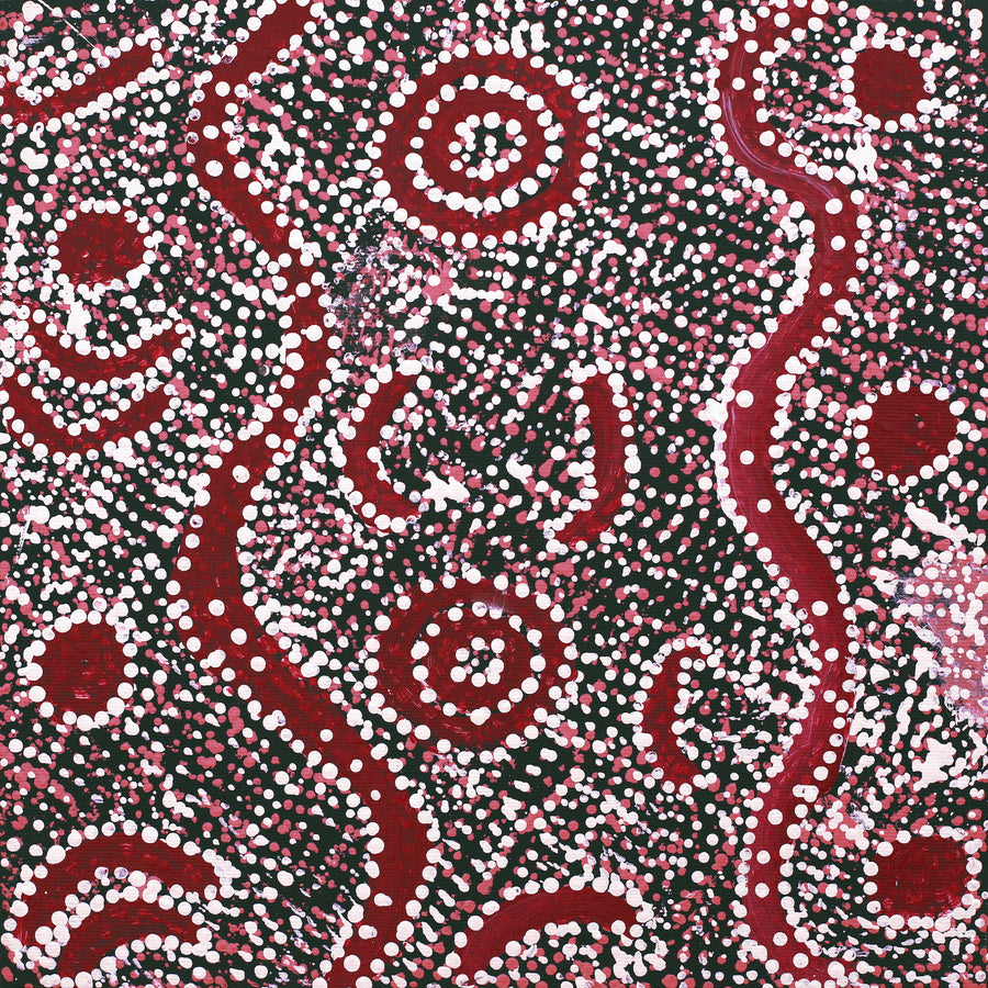 Aboriginal Artwork by Katrina Nampijinpa Brown, Watiya-warnu Jukurrpa (Seed Dreaming), 30x30cm