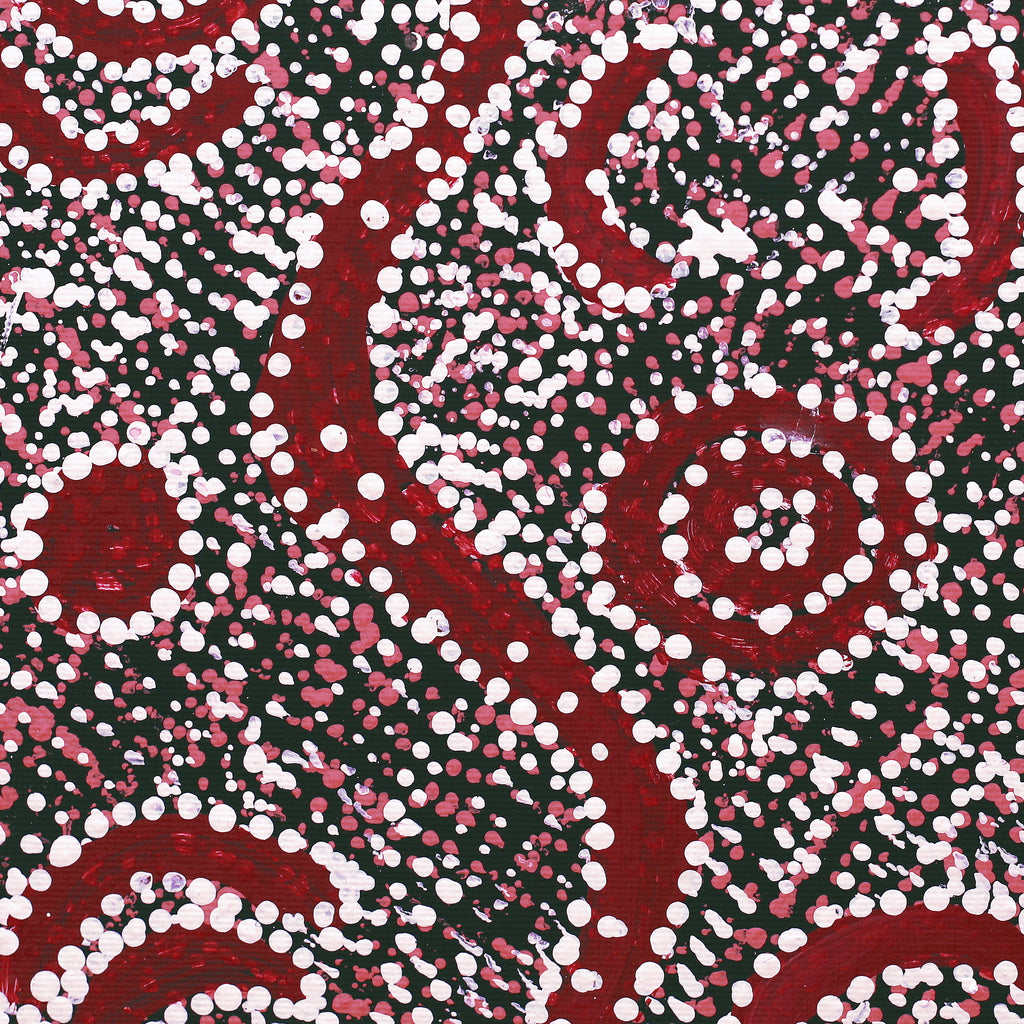 Aboriginal Artwork by Katrina Nampijinpa Brown, Watiya-warnu Jukurrpa (Seed Dreaming), 30x30cm